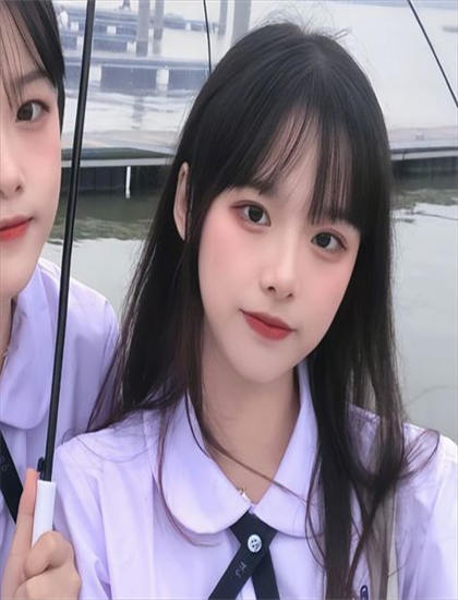 帮帮龙出动之恐龙探险队英文版故事脉络梳理：主线与支线情节完整解读